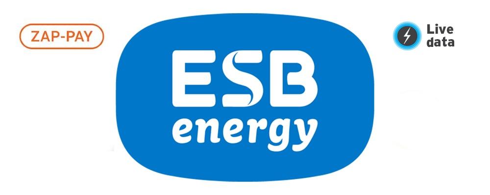 esb energy charging network