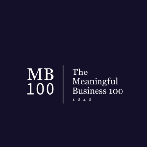 The Meaningful Business 100